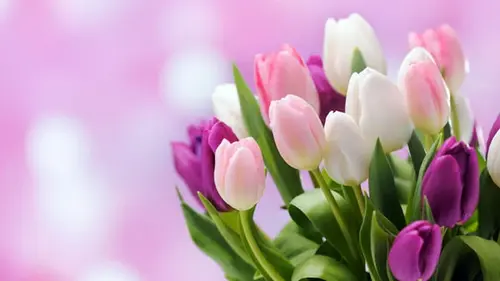 Гороскоп на неделю: для всех знаков зодиака