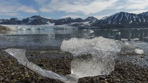 Самая экстремальная волна жары в истории: в Арктике заметили критические для климата изменения