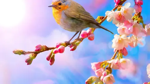 Быстрое потепление и грозы? Синоптики объяснили, каким может быть апре...