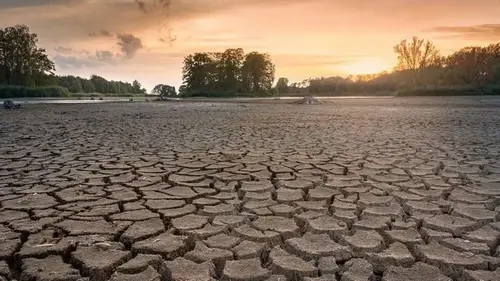 Засуха выращивает супербактерии в почве, опасные для людей