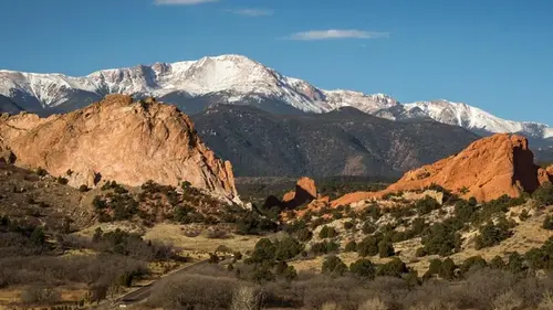 Ученые ради эксперимента нагрели луг на 2°C: что из этого получилось