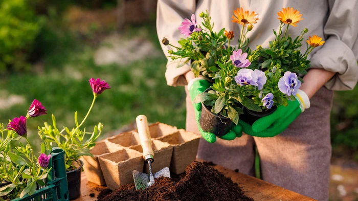 Сад как терапия — почему несколько часов с растениями могут подарить вам лучший сон