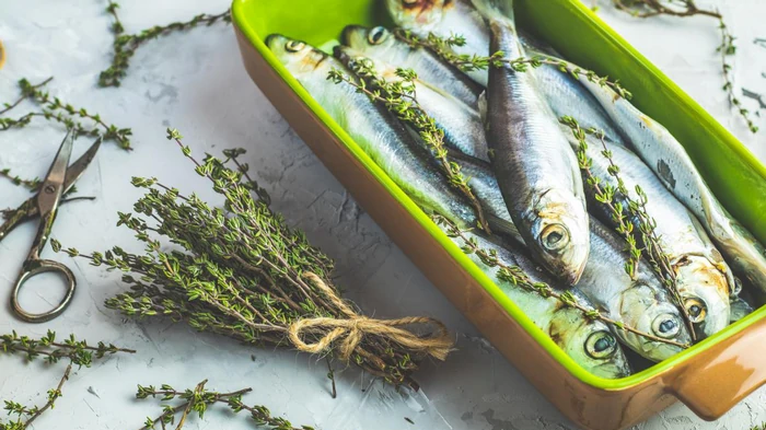 Какая рыба полезна для кожи, сердца и общего здоровья: диетолог назвала своего фаворита