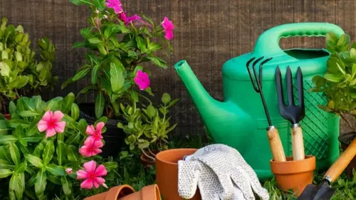 Весна на огороде — как работать без вреда для здоровья