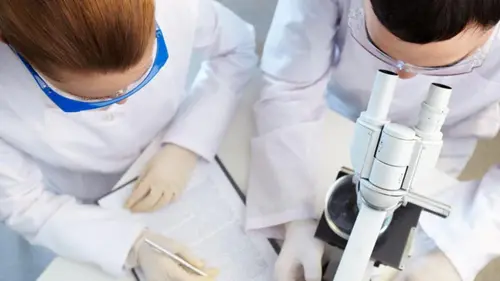 Учёные оживили 24-тысячелетнее животное, найденное в Сибири: оно уже начало размножаться