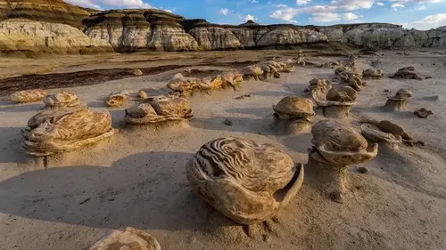 Создан самой планетой: где находится инкубатор «инопланетных яиц» и как он образовался
