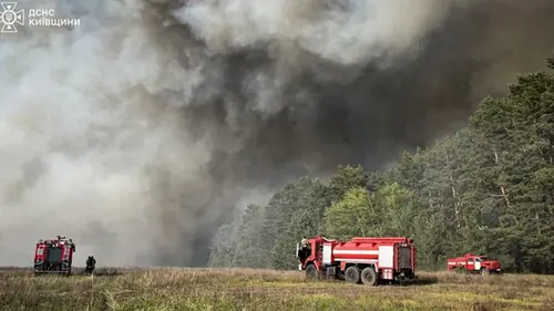В Киевской области произошел масштабный лесной пожар