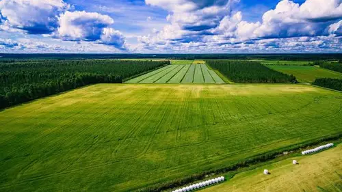 Ділянка землі для фермерства: як її оцінити та обрати при купівлі