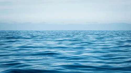 Уровень моря поднимется на 15 метров: дома 1,7 млн людей окажутся под водой