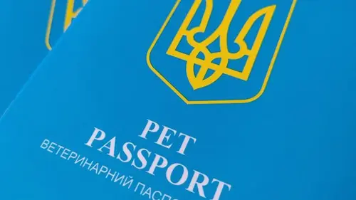 В Украине ввели новый ветпаспорт для животных: нужно ли менять старый документ