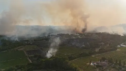 Во Франции из-за лесных пожаров эвакуировали 1200 человек