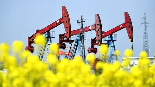 Цены на нефть за неделю выросли, а дизель в США побил рекорд