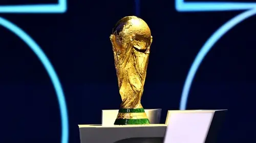 Украина и Польша могут совместно побороться за проведение ЧМ по футболу