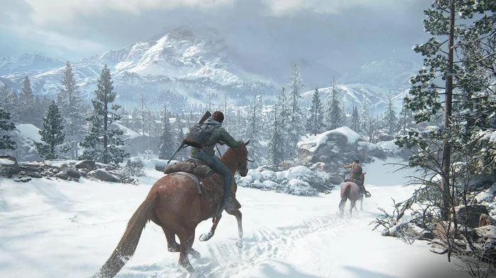 Подтверждена разработка сразу двух новых проектов во вселенной The Last of Us