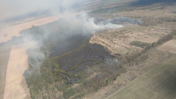 Пожары в Украине: в большинстве регионов объявили чрезвычайный уровень опасности