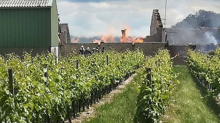 Во Франции сгорели 250 тысяч литров коньяка