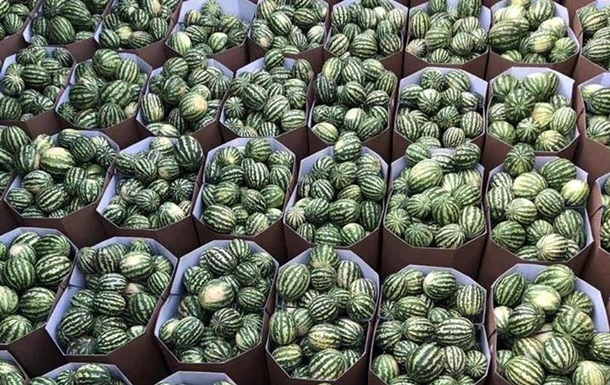 Украина начинает сезон экспорта арбузов