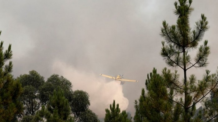 В Португалии вспыхнули лесные пожары: 20 пострадавших
