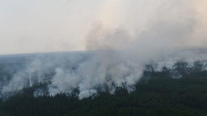 Лесные пожары в России: дым достиг территории США и Канады
