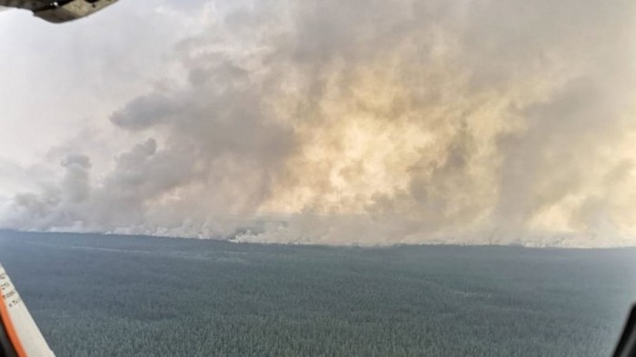 Лесные пожары в России охватили около трех миллионов гектаров