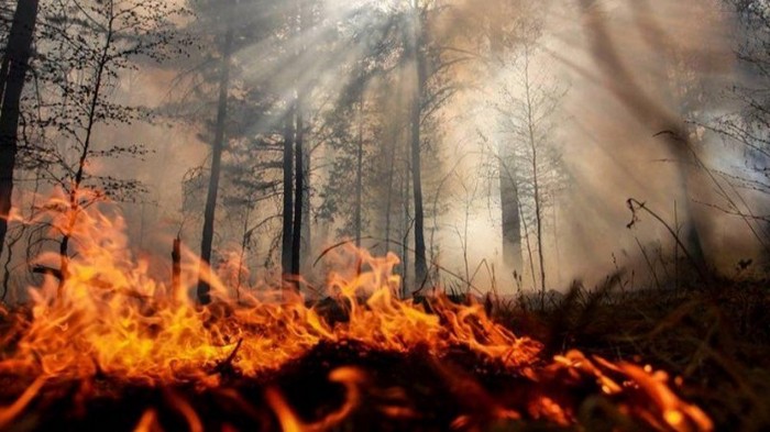 В Сибири площадь пожаров постепенно увеличивается