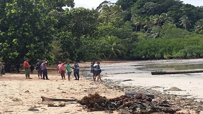 У берегов Фиджи упал в море медицинский вертолет