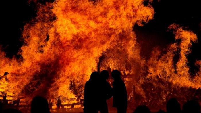В Украине в семи областях объявили чрезвычайную пожарную опасность