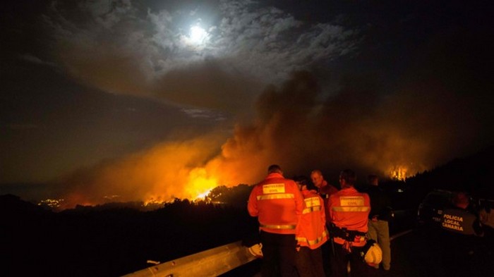 Лесной пожар на Канарах: спасатели локализовали огонь