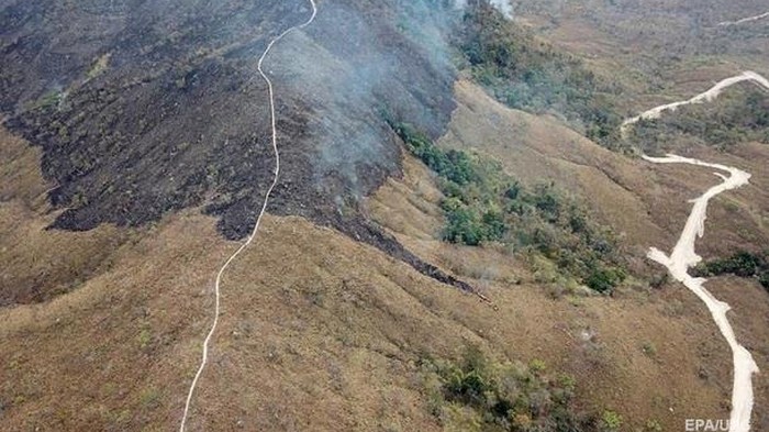 В Бразилии увеличилось число пожаров