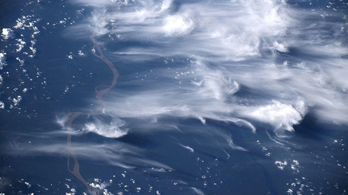 Лесные пожары в Бразилии показали из космоса (фото)