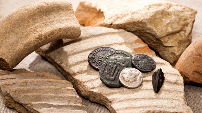 14 тысяч монет: фермер обнаружил невероятный клад на своем участке