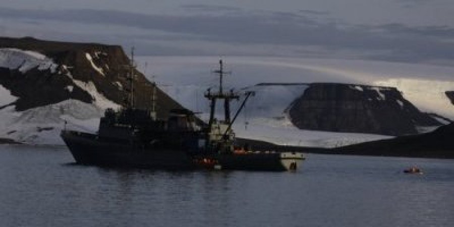 В Арктике животные потопили российскую военную лодку — СМИ