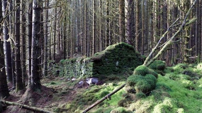 Ученые раскрыли тайну руин в британских лесах (фото)
