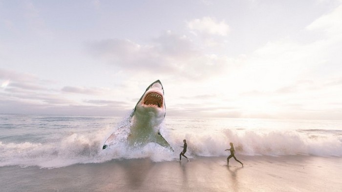 Студентка под водой натолкнулась на гигантскую акулу: видео