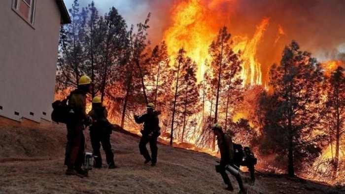 Лесные пожары в Калифорнии: эвакуировали 40 тысяч человек