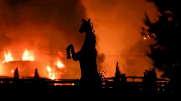 Пожары в Калифорнии: впервые в истории объявлен экстремальный красный уровень опасности