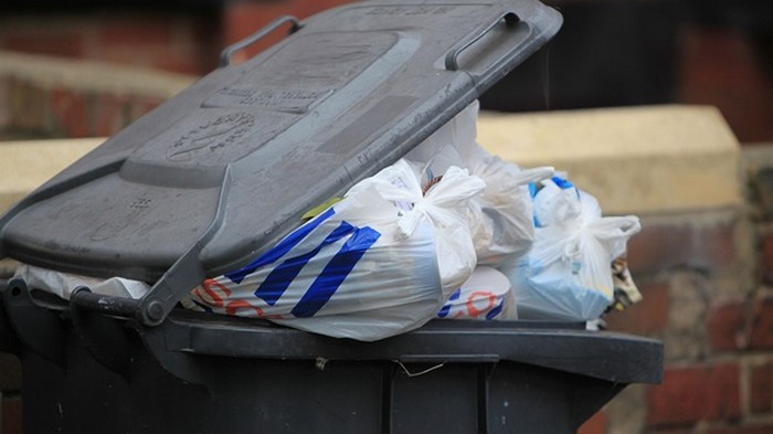 Немецких студенток осудили за кражу из мусорки