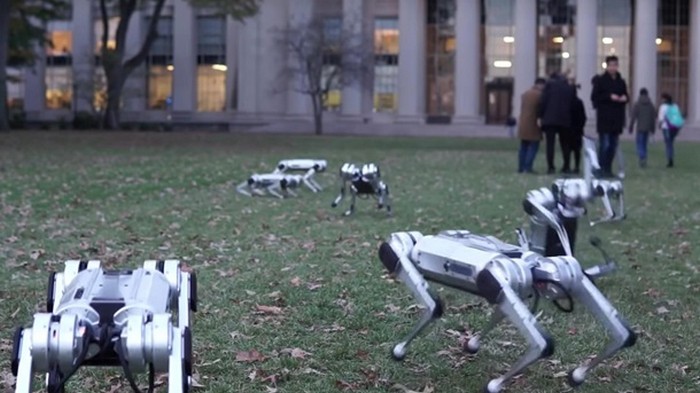 В США роботов-собак выгуляли в парке (видео)