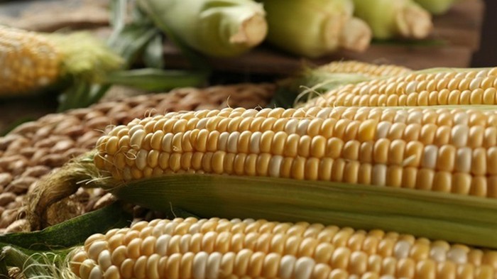 Украина увеличила экспорт агропродукции