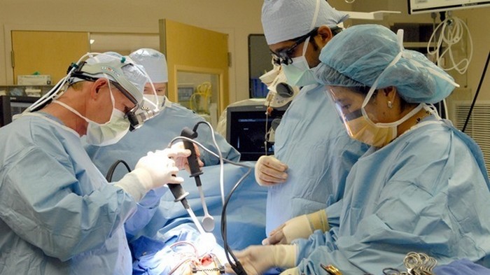 Впервые врачи сделали пересадку мертвого сердца