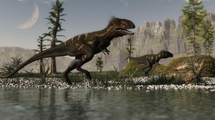 Палеонтологи доказали, что динозавры Nanotyrannus — просто детеныши тираннозавров