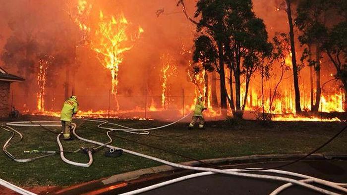 В Австралии объявили массовую эвакуацию из-за лесных пожаров