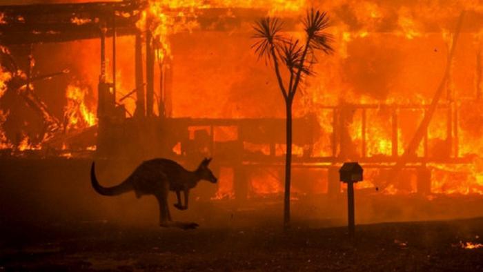 Полет в ад: в каких условиях работают пилоты, борющиеся с лесными пожарами в Австралии — видео