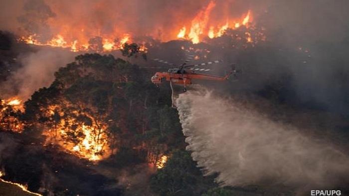Пожары в Австралии: жителям столицы рекомендуют не выходить из дома