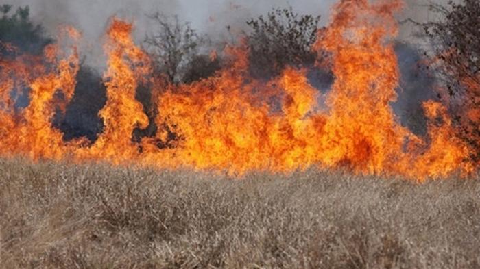 Количество пожаров увеличилось в связи с теплой зимой - ГСЧС