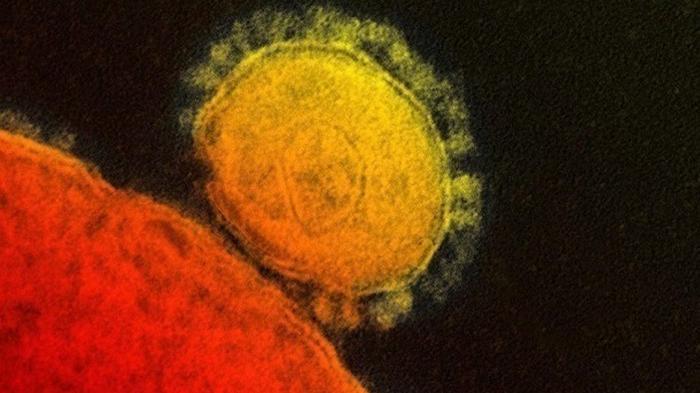 В Китае четвертый человек умер от нового коронавируса