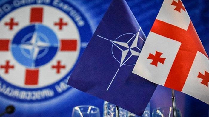 Турция выступила за принятие Грузии в НАТО