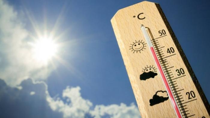Ученые анонсируют рекордно жаркое пятилетие