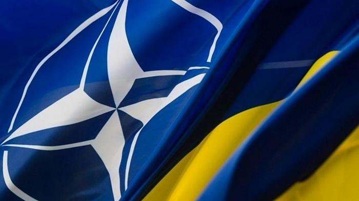 Кабмин принял нацпрограмму для интеграции в НАТО