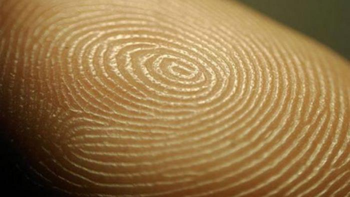 Ученые объяснили, почему и зачем человеку нужны отпечатки пальцев